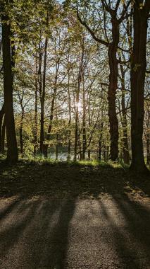 Ilustrační foto (zdroj: Pexels)